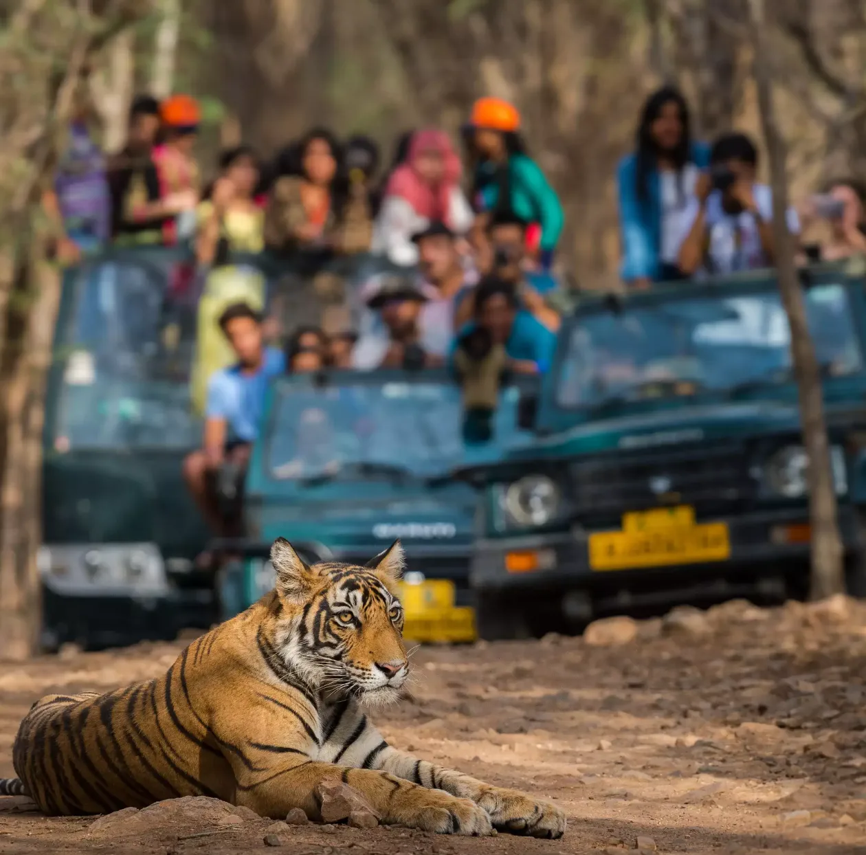 Same Day Ranthambore From Jaipur
