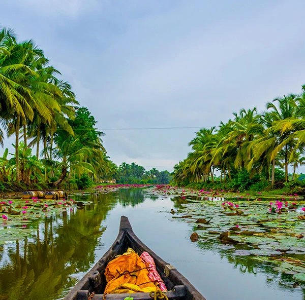 12 Days South India Cultural & Kerala Backwaters Tour